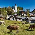 Bosco Gurin Vallemaggia Image Christof Sonderegger