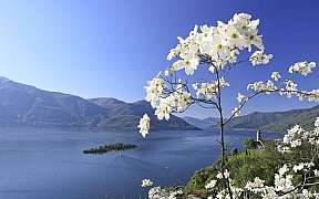 Isole di Brissago Lago Maggiore foto Christof Sonderegger
